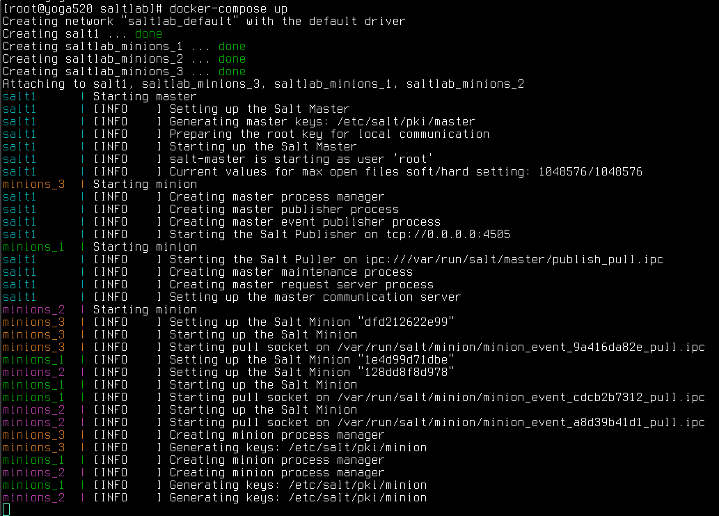docker-compuse up output