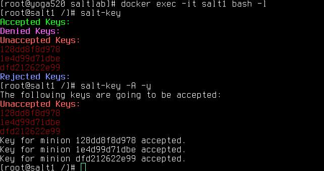salt-key output