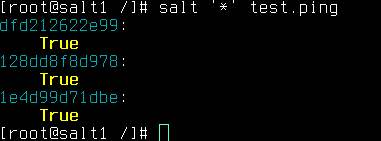 salt test.ping output
